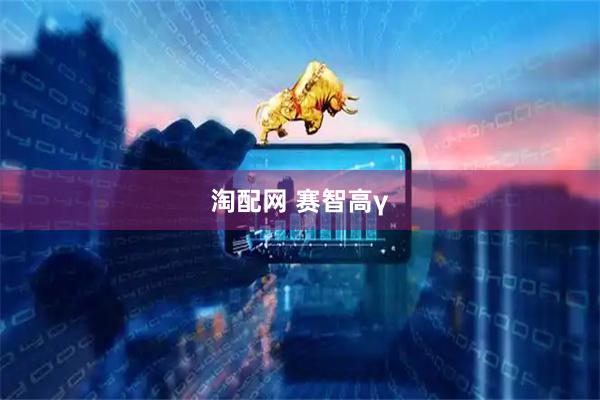 淘配网 赛智高γ