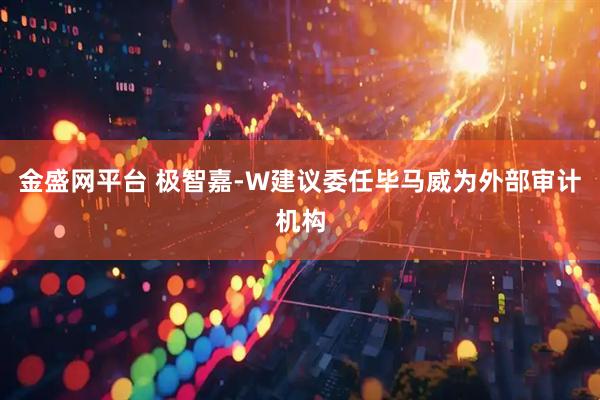 金盛网平台 极智嘉-W建议委任毕马威为外部审计机构